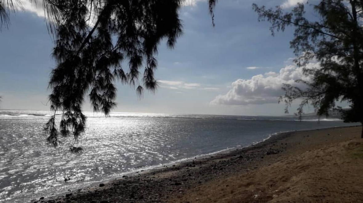 Appart Lumineux Vue Mer Leu Emra Saint-Leu Eksteriør billede